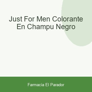 Just For Men Colorante en Champú Negro